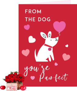 Paw-fect Valentine Cards in Lagos - val card7