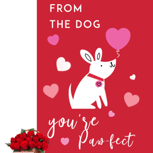 Paw-fect Valentine Cards in Lagos - val card7